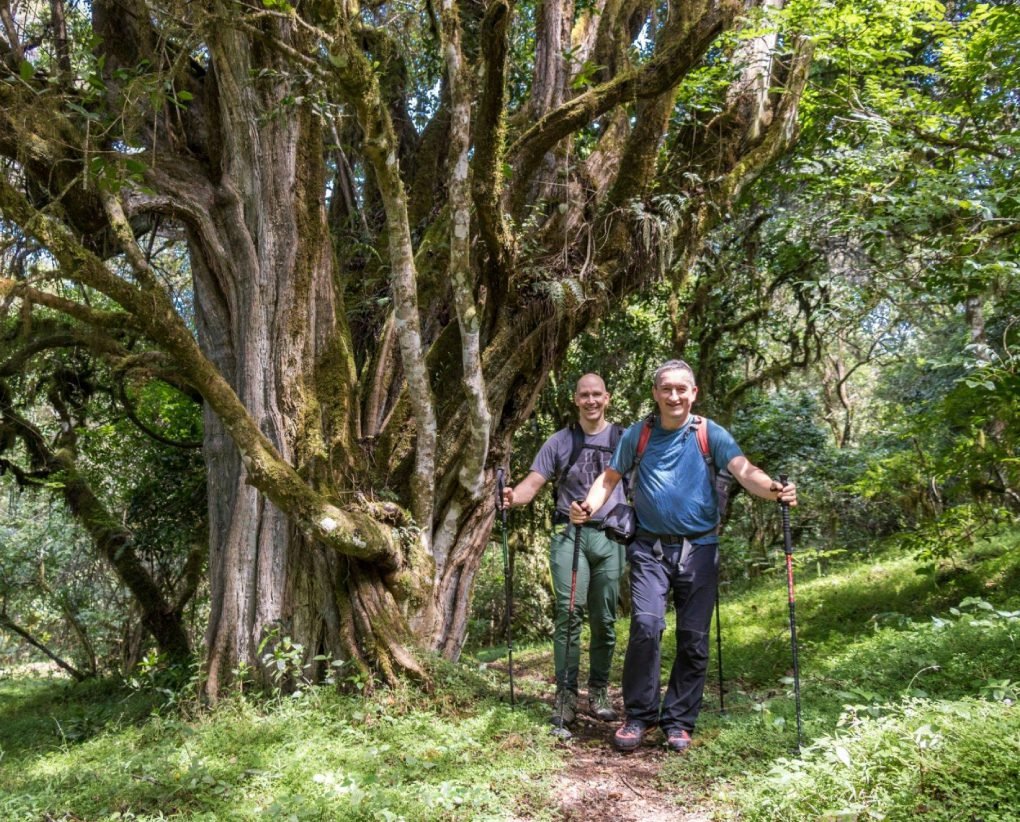 Arusha National Park