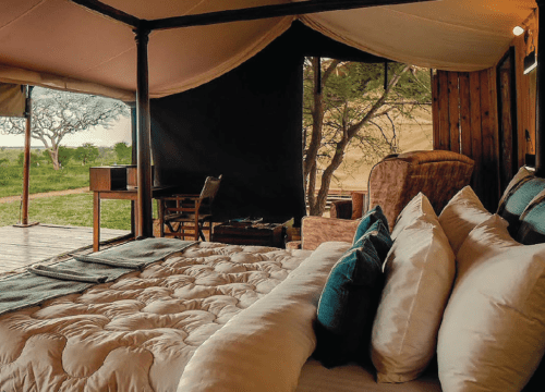 Top Eco-lodges and camps for sustainable Safari stays