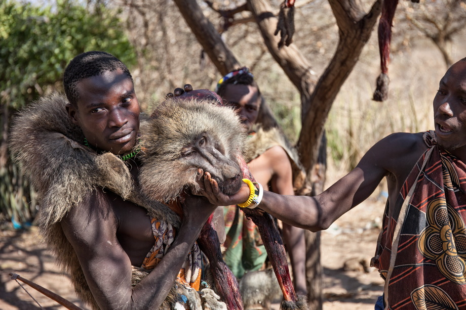 Cultural experiences: visiting Maasai or Hadzabe villages