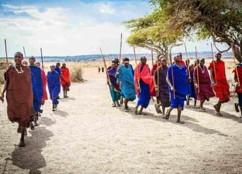 Cultural experiences: visiting Maasai or Hadzabe villages