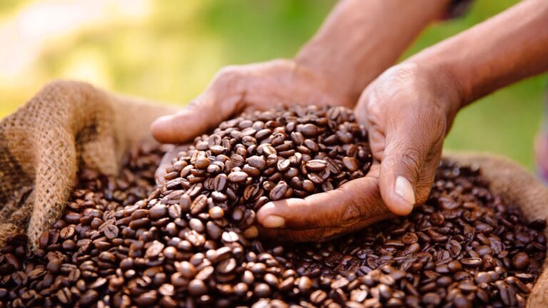 roasted-coffee-beens-queen-elizabeth-national-park